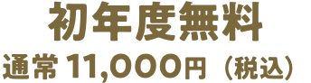 初年度無料 通常 11,000円（税込）