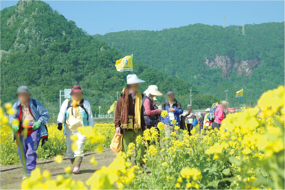 いぶすき菜の花マーチ