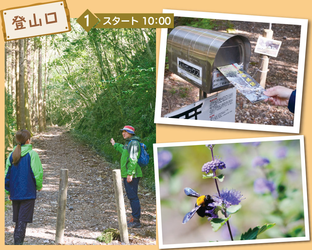 古代山城トレッキング　登山口