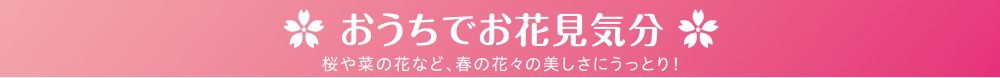 おうちでお花見気分