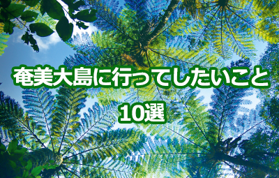 新しく世界自然遺産に登録された奄美大島に行ってしたいこと10選！！