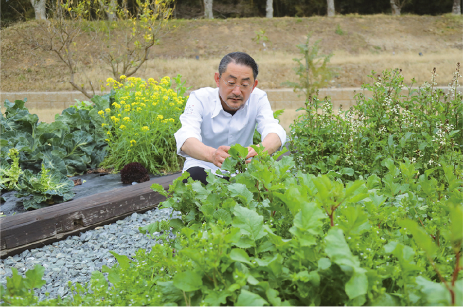 福岡の人気フレンチレストラン「Miyawaka Soukatei」のハーブ)