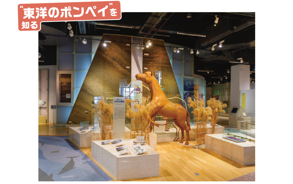 指宿の観光スポット・考古博物館「時遊館COCCOはしむれ」
