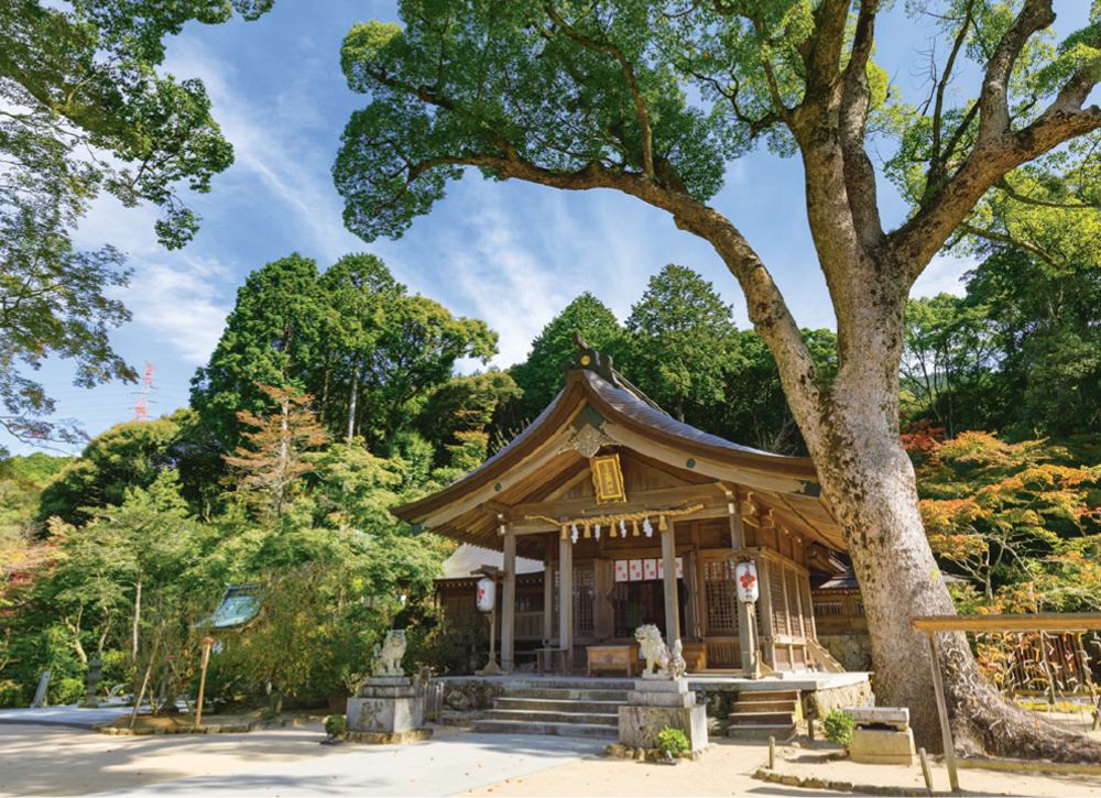 福岡県でおすすめの神社「竈門神社」の本殿