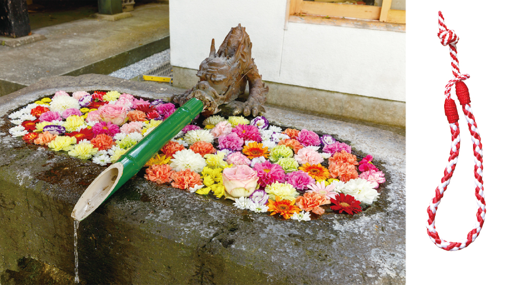 鹿児島県でおすすめの神社「揖宿神社」の花手水
