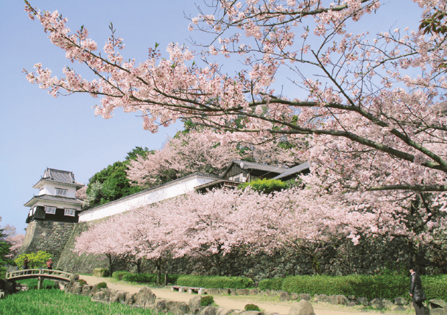 おすすめ長崎県大村スポット「大村公園」