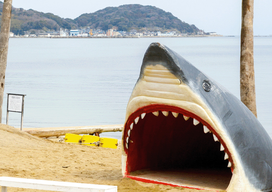 ペットと楽しめる糸島のオススメスポット「ざうお本店」サメのオブジェ