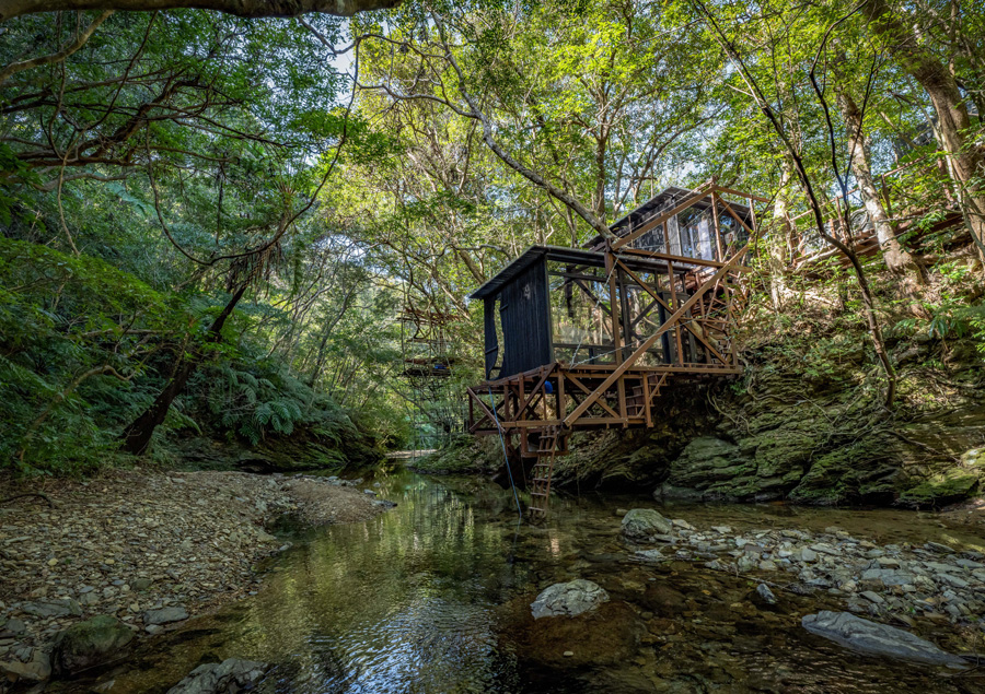 九州のおすすめサウナ「Treeful Treehouse Sustainable Resort」ツリーハウス