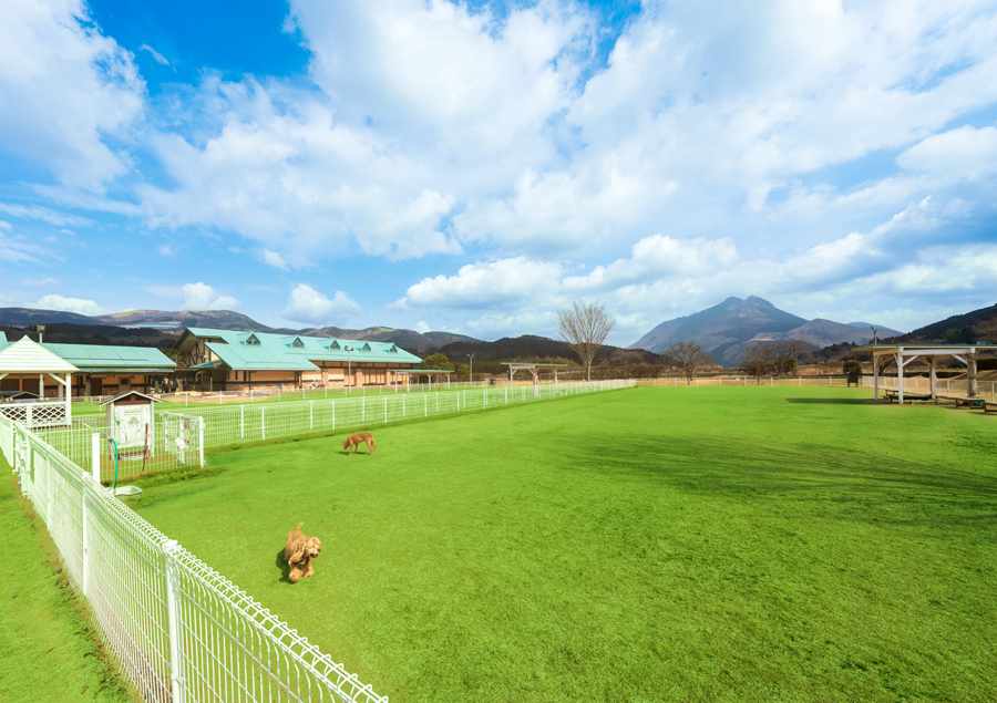 愛犬・愛猫と出かけよう！ペットと泊まれる九州の宿5選「湯布院ガーデンホテル ドッグラン＆リゾート」