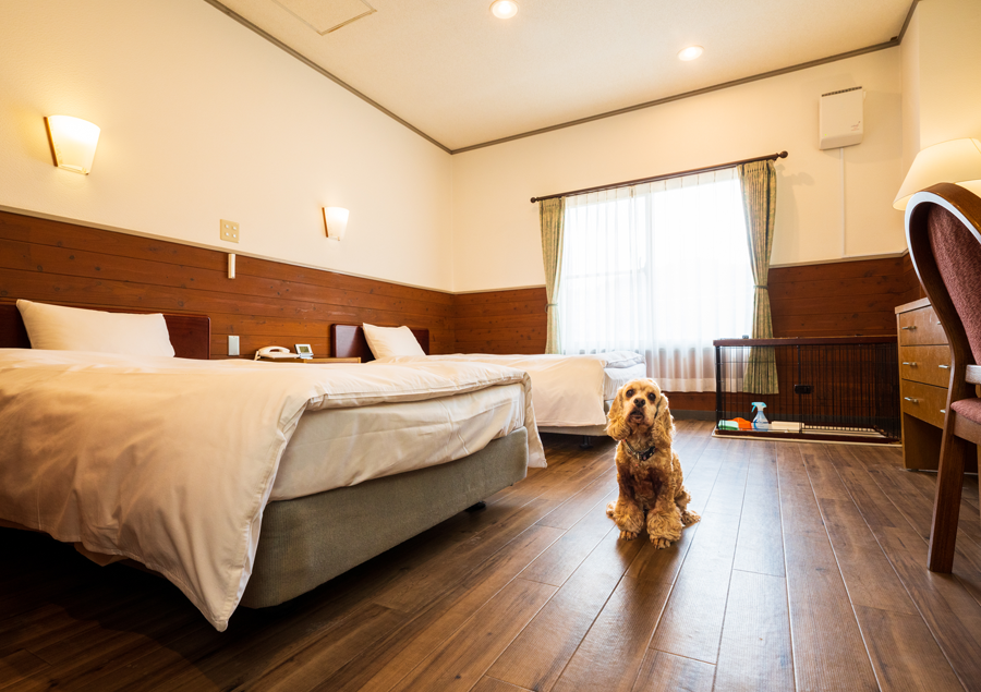 愛犬・愛猫と出かけよう！ペットと泊まれる九州の宿5選「湯布院ガーデンホテル ドッグラン＆リゾート」