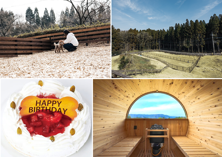 愛犬・愛猫と出かけよう！ペットと泊まれる九州の宿5選「With Dogs」