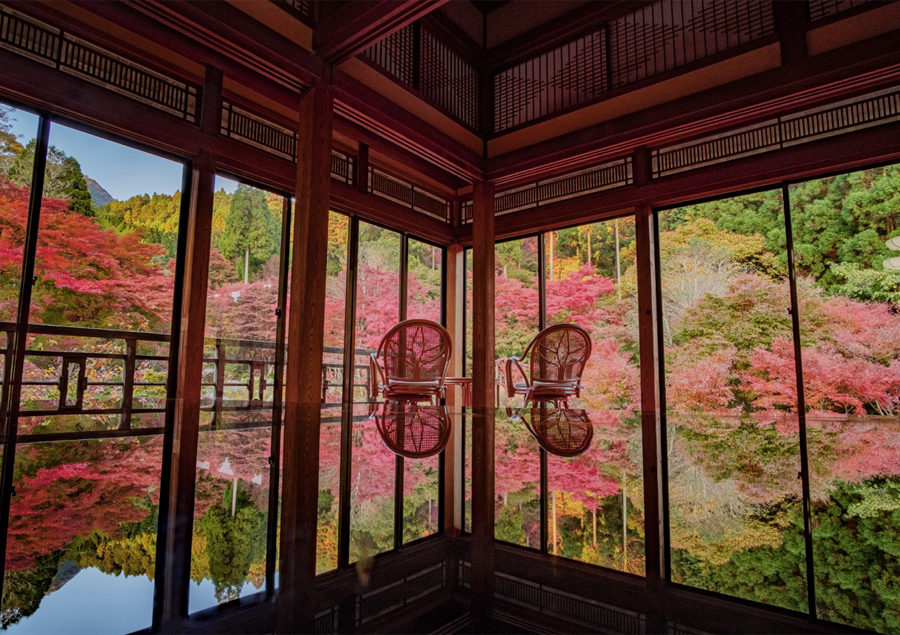 【九州】美しい秋の絶景5選!立ち寄りたい周辺スポットもご紹介♪「環境芸術の森」