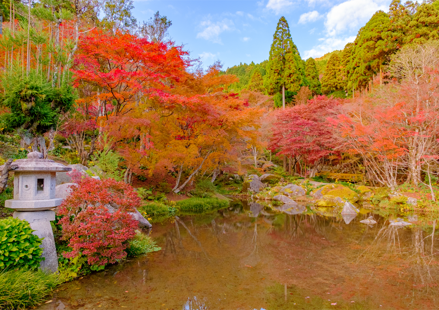【九州】美しい秋の絶景5選!立ち寄りたい周辺スポットもご紹介♪「環境芸術の森」