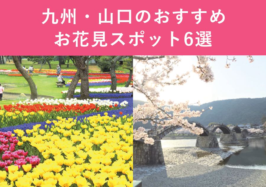 【九州】お花見の定番&人気スポット6選