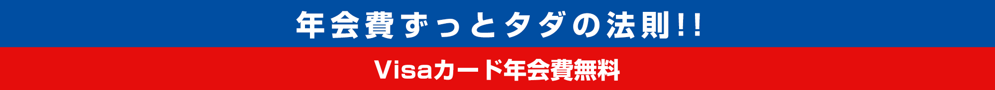 年会費ずっとタダの法則!! Visaカード年会費無料